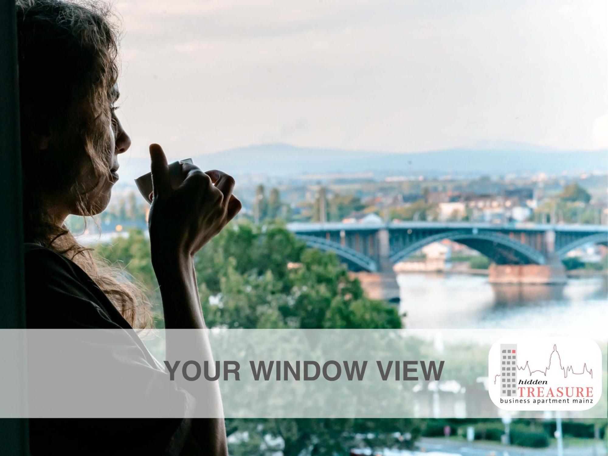 Hidden Treasure Business Apartment Mainz - Fantastic Rhine View In Center Of Mainz Old Town Exterior foto